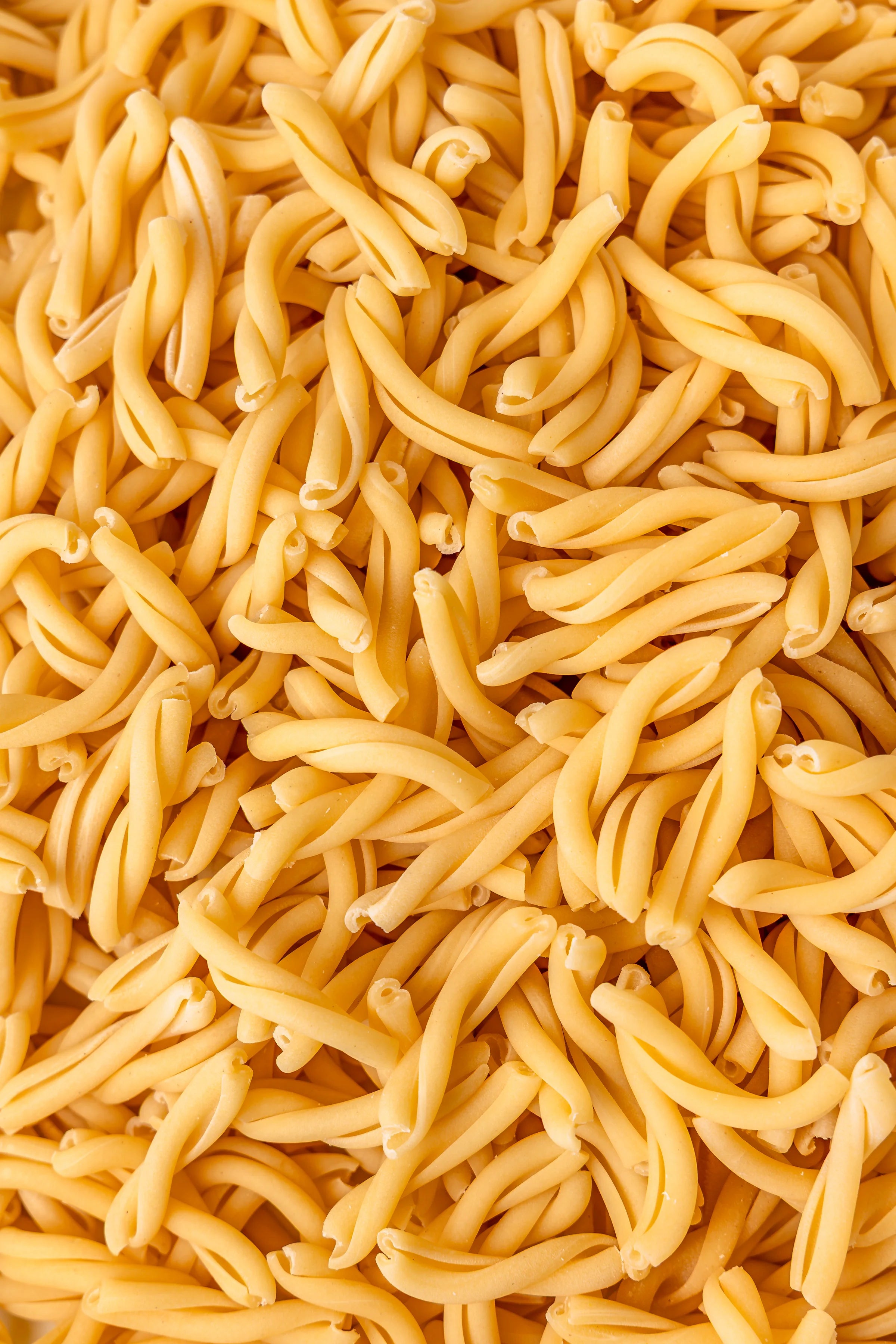 Gusto Etna Caserecce Artisan Pasta 500g