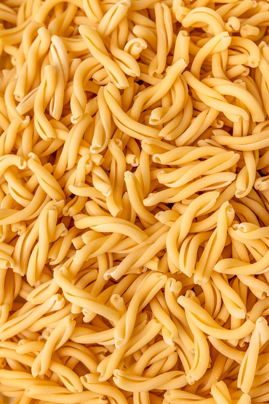 Gusto Etna Caserecce Artisan Pasta 500g