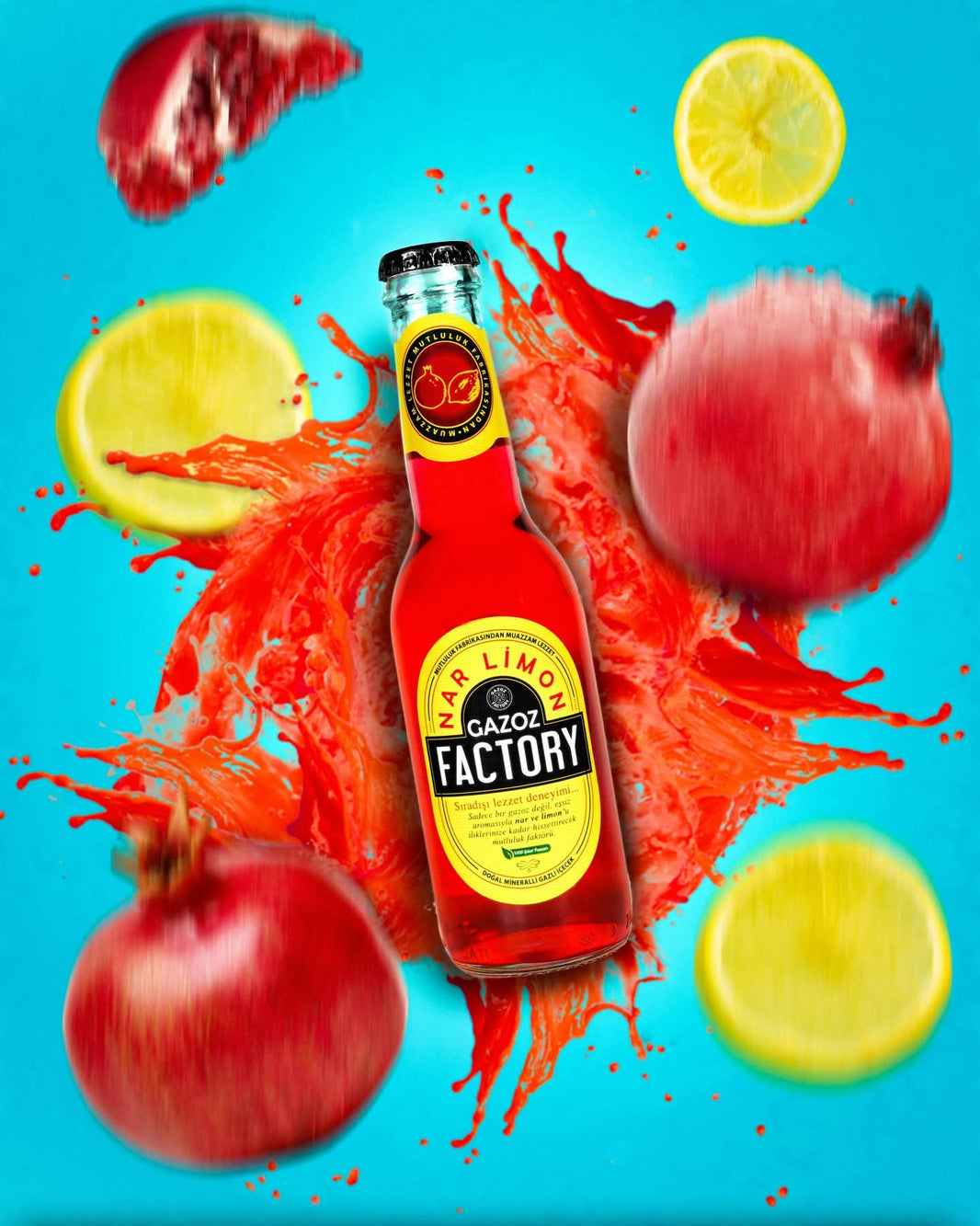 Gazoz Factory Pomegranate Lemon 6 pack