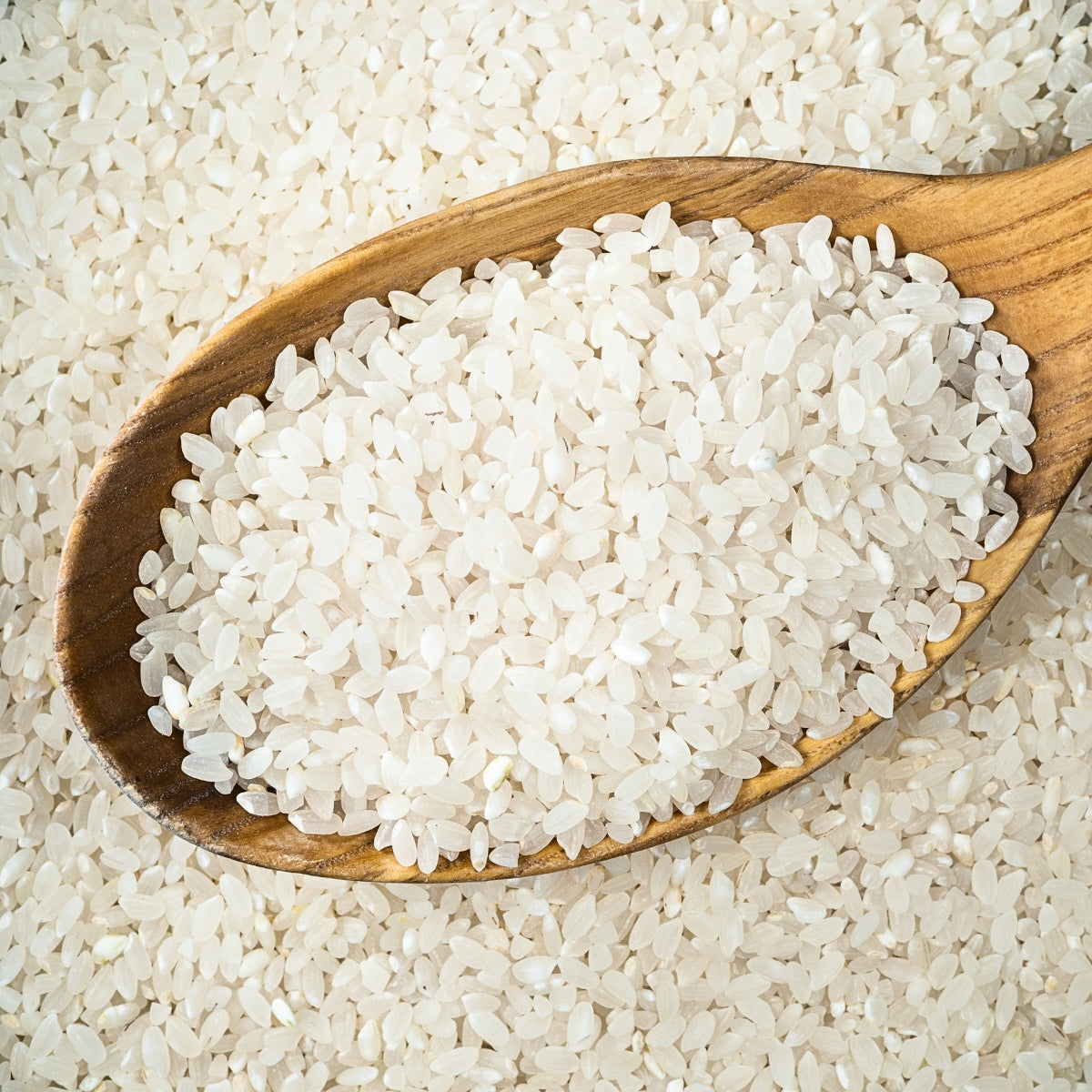 Sunrice Medium Grain 10kg