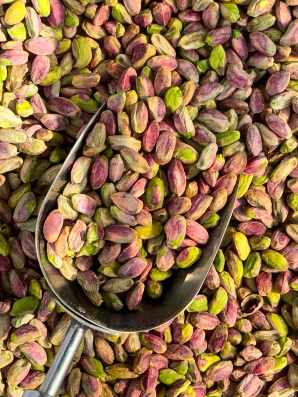 Pistachio Kernels 250g