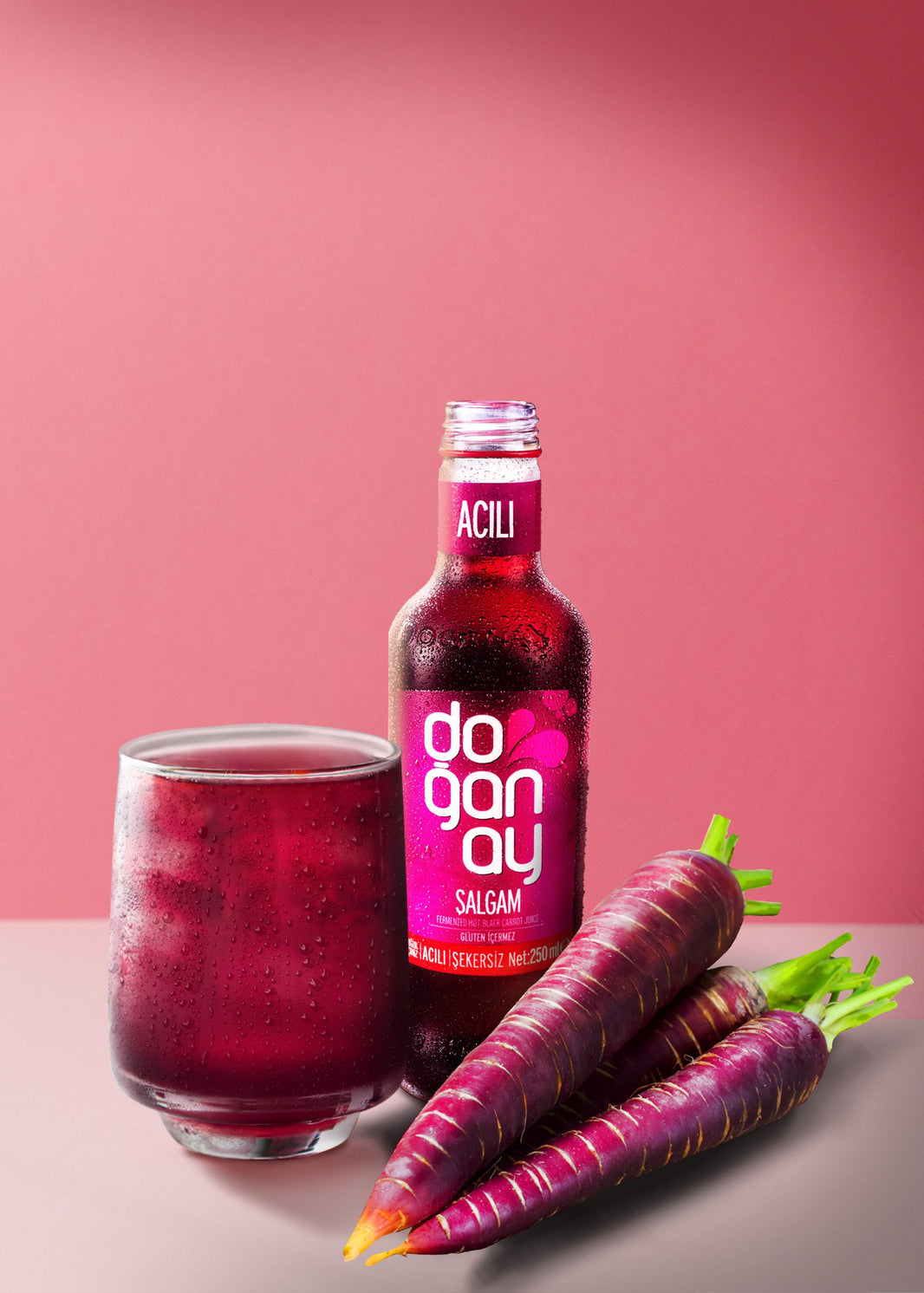 DOGANAY SALGHAM BARDAK SICAK 250 ML