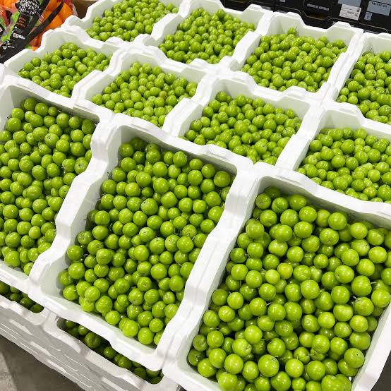 Janerik (Can Erik) 1kg